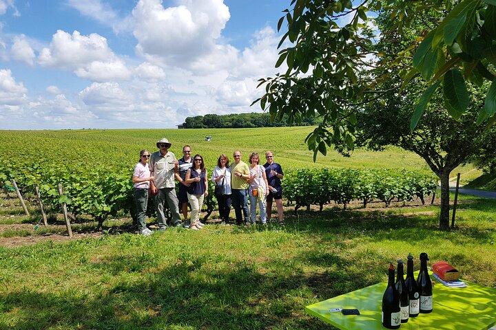 Loire Valley Half Day Wine Tour from Tours : Vouvray Wine Tasting