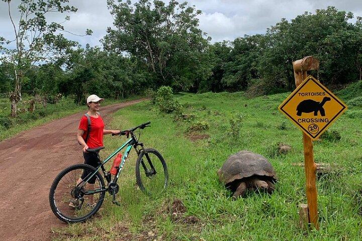 Galapagos TURTLE bike route + reserve the CHATO