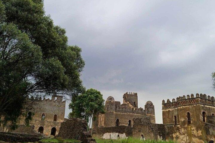 5 Day Tour from Bahir Dar to Gonder and Simien Mountain