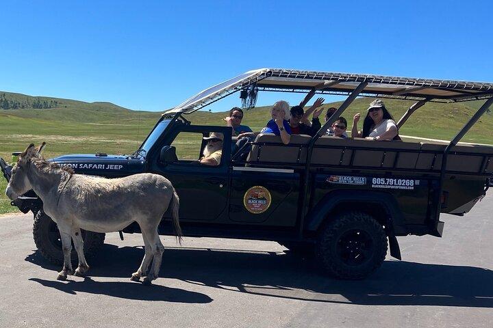JEEP Bison Safari - Public - Half Day Tour 