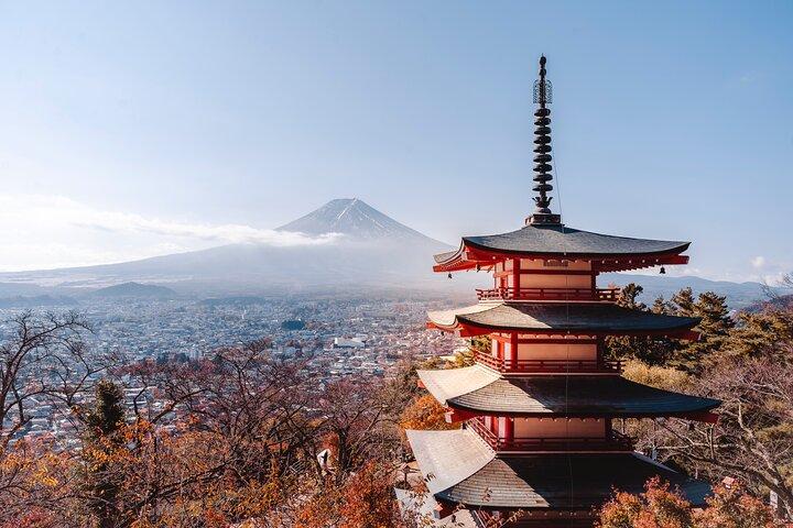 Mt Fuji :1-Day Private Tour with English-Speaking Driver