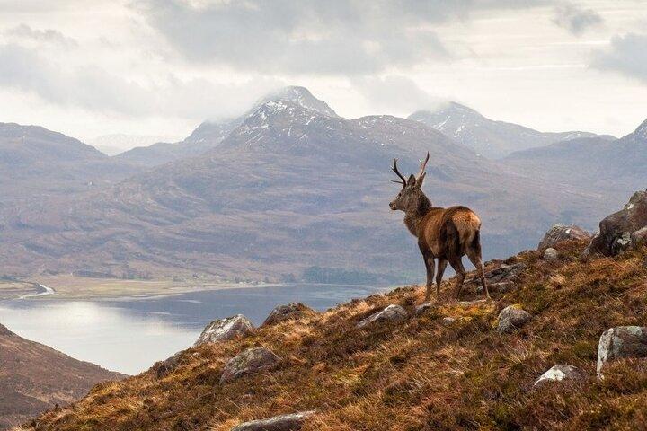  Luxury Private Tour of The Highlands & Loch Ness from Edinburgh