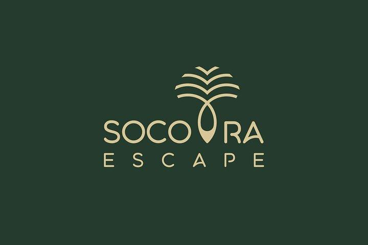 8 Days - Enchanting Socotra Escape