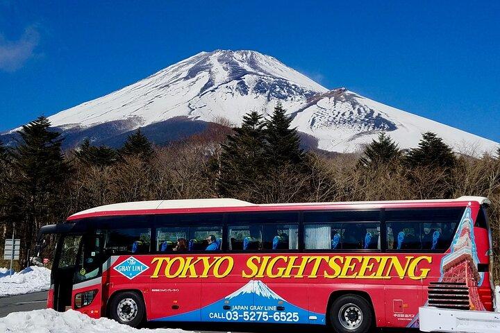 Mt. Fuji & Hakone Tour Tokyo hotel pick-up & drop-off by Grayline