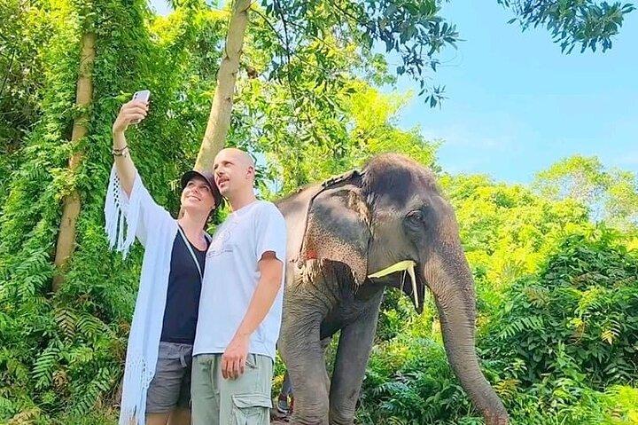 6 Hours Elephant Care and Jungle Tour by 4WD in Koh Samui