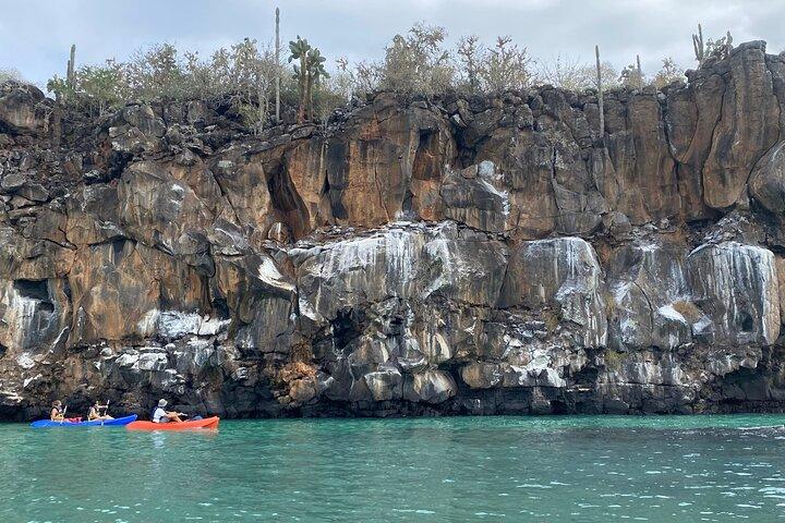 Kayaking Experience in Franklin Bay