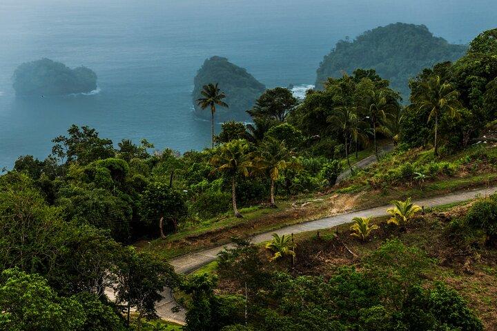 Private Tour Rainforest from Tobago 