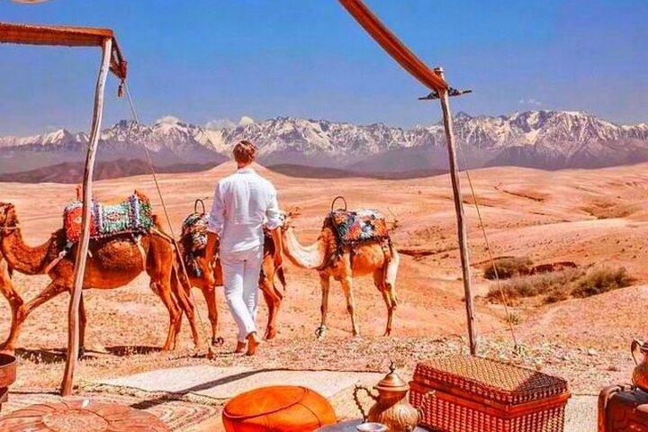  Dinner and Sunset Camel Ride at desert Marrakech Agafay 