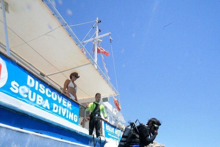 Guided Scuba Diving Experience in Paros
