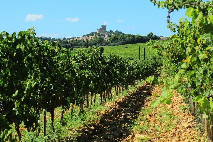 8 Hours Private Wine Tour in Châteauneuf du Pape