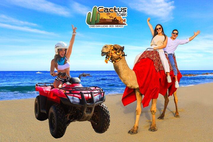 Beach ATV & Camel Ride COMBO in Cabo by Cactus Tours Park