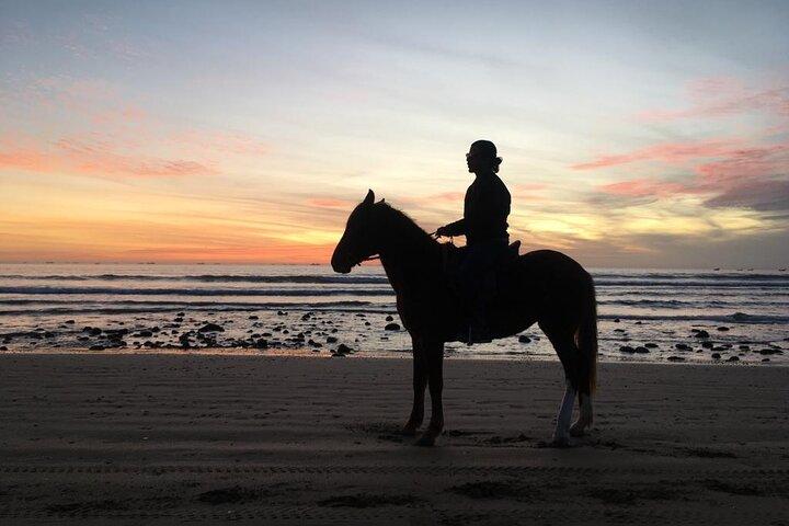 Horse Ride on the Beach From Awrir or Tamraght