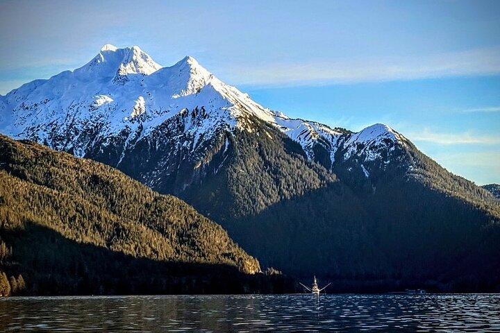 Private Water Taxi and Land Tour, Sea it All -Sitka Wildlife