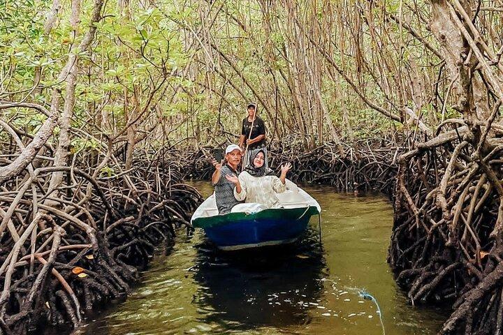 Exploring Mangrove Forest by Boat at Lembongan Tour