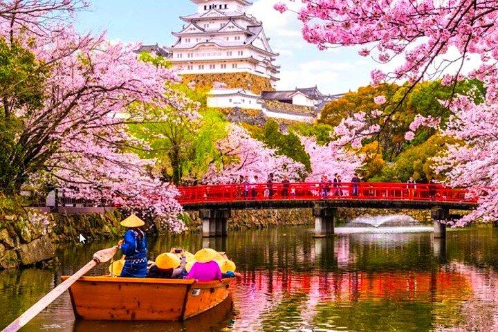 10-Day Private Sightseeing Tour in Japan more than 60 Attractions