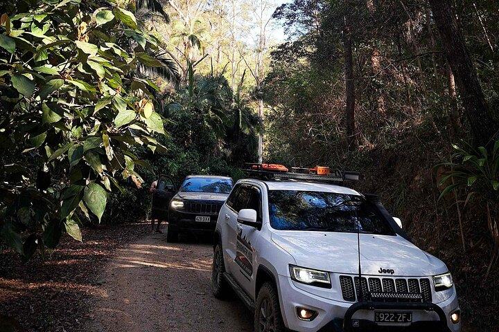 4WD Guided Day Trip In D'Aguilar National Park