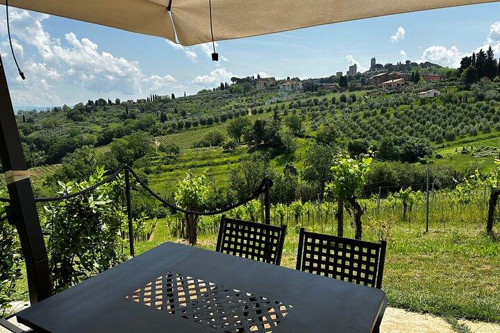 Private Tuscan Lunch with Wine & Evo oil tasting in the Vineyard