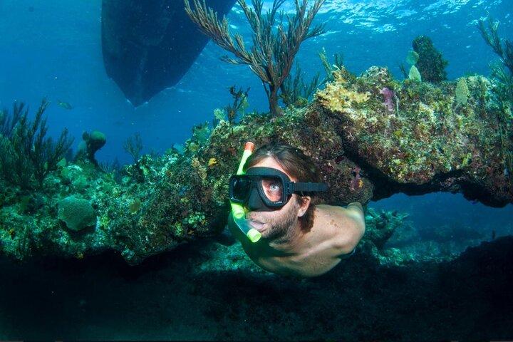 3HR Emerald reef snorkeling, iguana island and shipwreck tour