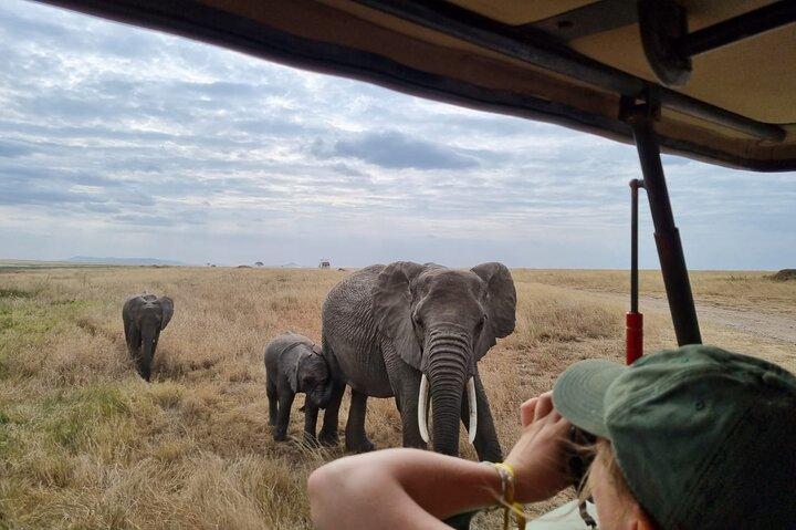 2 Days Safari in Tarangire and Ngorongoro Crater 