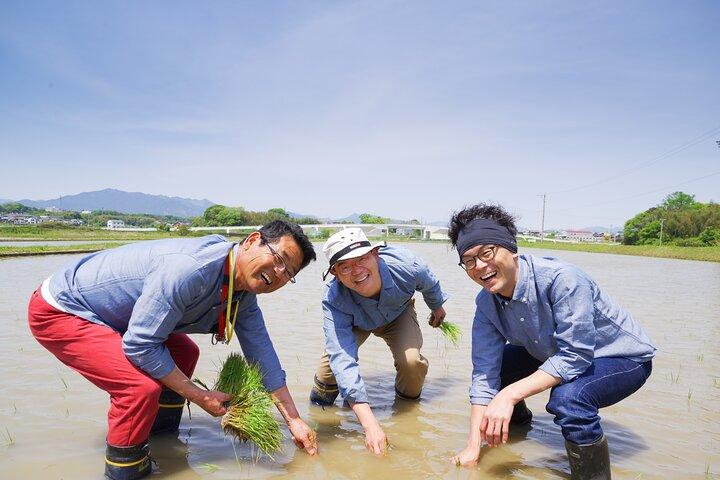 Private Rice Agriculture Experience in Mie