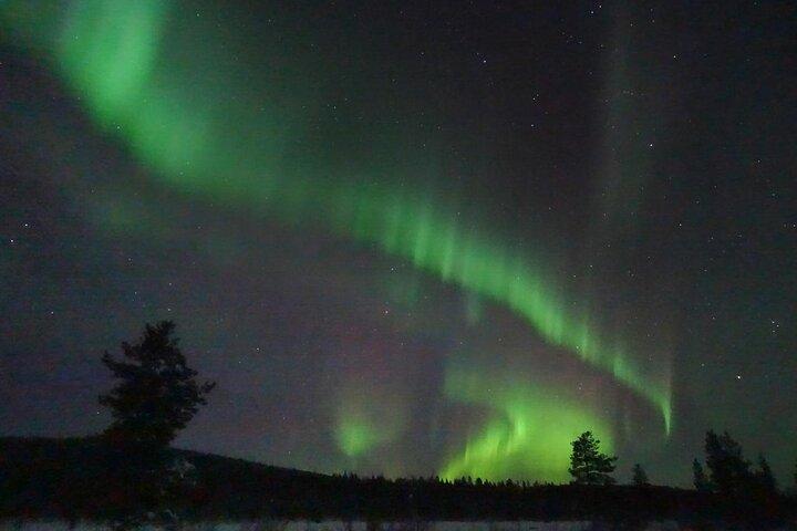 Northern Lights with Reindeer Sleigh Ride in Jukkasjärvi