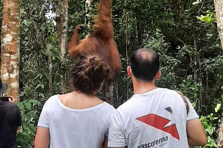 Orangutan Tanjung Puting Honeymoon CoupleTour