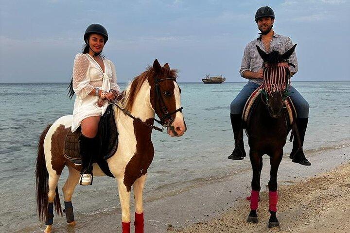 2 hours of Horse Riding in Desert and on the Beach of Marsa Alam