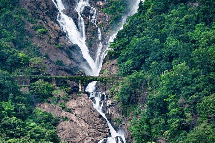 Dudhsagar Waterfalls, Jeep Safari & Spice Plantation private tour