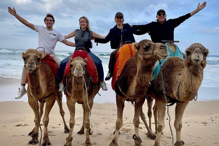 Tangier Full Day Private Tour Including a Camel Ride on the Beach
