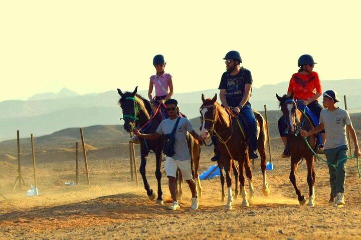 3 Hours Horseback Riding with Swimming Marsa Alam Sea and Desert 