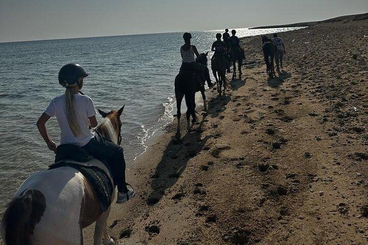 Desert and Sea Horseback Riding With Swimming Marsa Alam