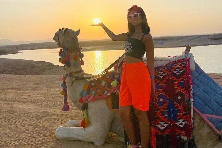 3 Hours Camel Riding Desert and Sea with transfer in Marsa Alam