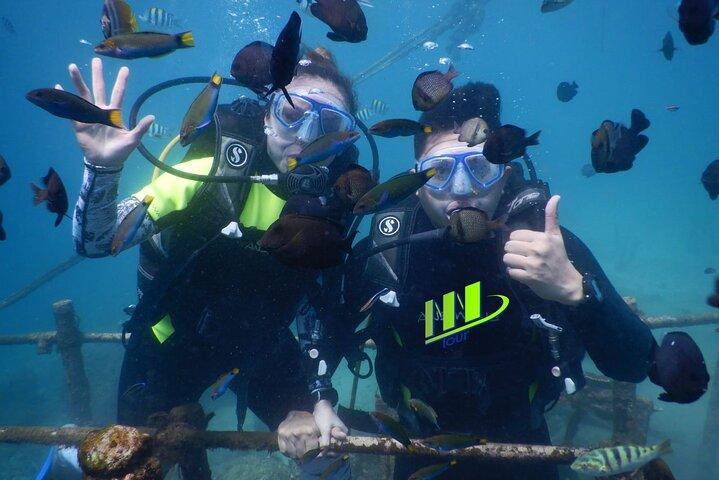 Private Diving Experience in Nusa Dua with Hotel Pick Up