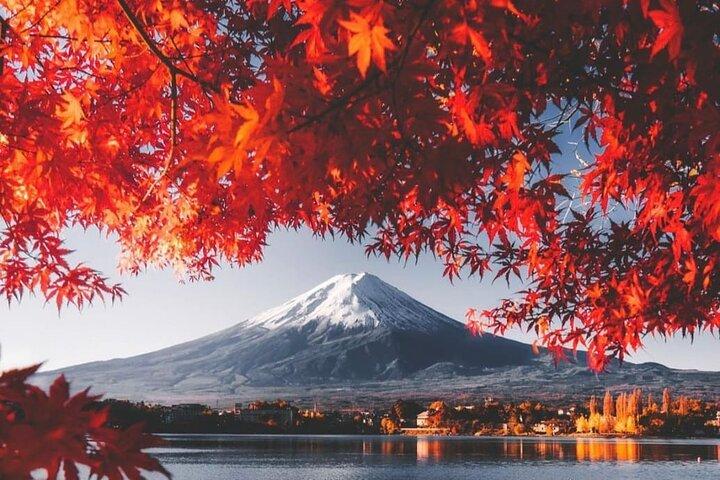 Mt. Fuji, Lake Kawaguchiko Private Tour with Pick up