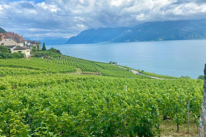 Bern Private Tour - Gruyères , Cheese, and Lavaux's UNESCO Wine