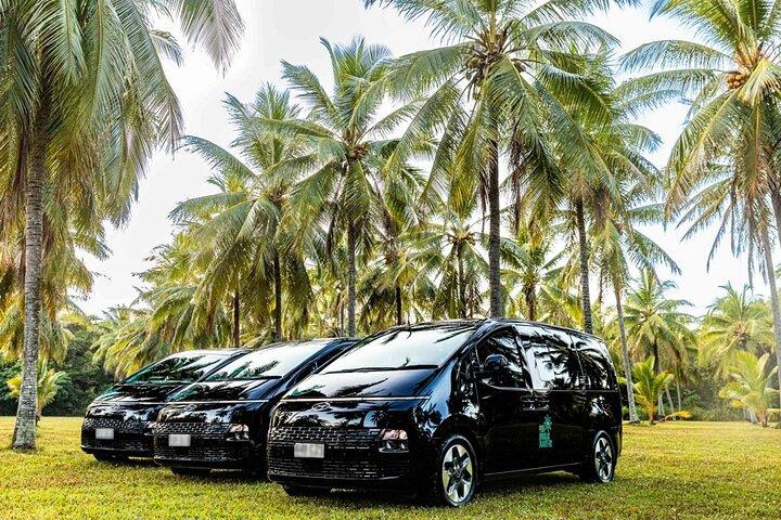 Palm Cove and Cairns (ONE WAY) Private Transfer 1 to 6 pax