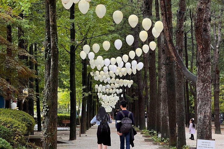 Trip to Nami Island with Petite France & Italian Village, Garden of Morning Calm