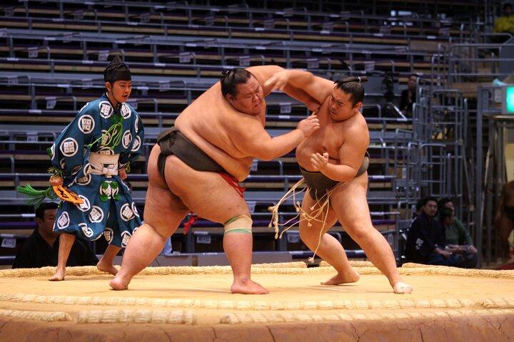 Sumo Wrestling S-Class Seats（Group Session）| Nagoya July 2024