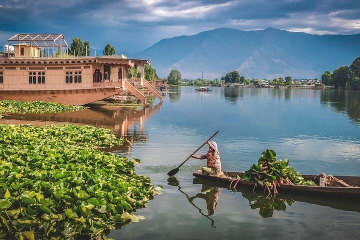 5 Days and 4 Nights Private Tour of Kashmir