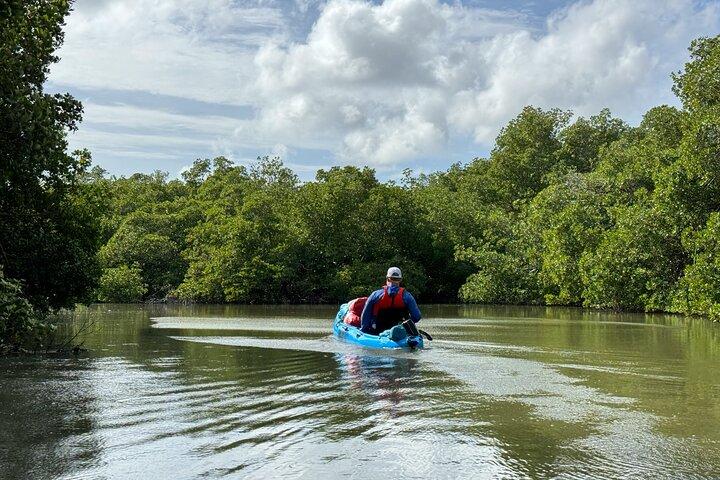 4 Hour Everglades Kayak Tour