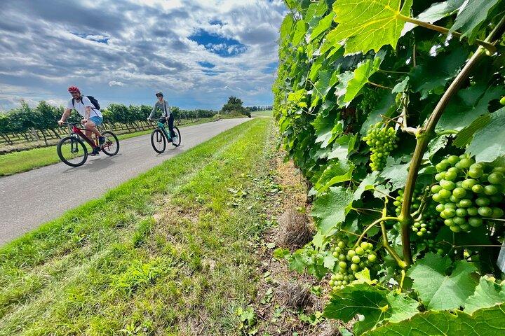 Moravian E-Bike & Wine Day Trip From Brno