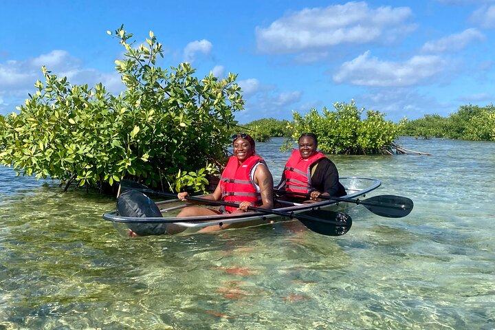 Clear Kayak Mangrove Safari in Grand Turk