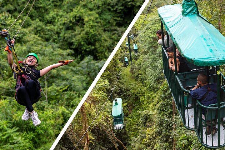 Aerial Tram and Zipline Tour Jacó Rainforest Adventures