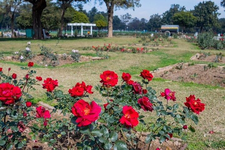 Garden Trails of Chandigarh (Guided Full Day City Tour)