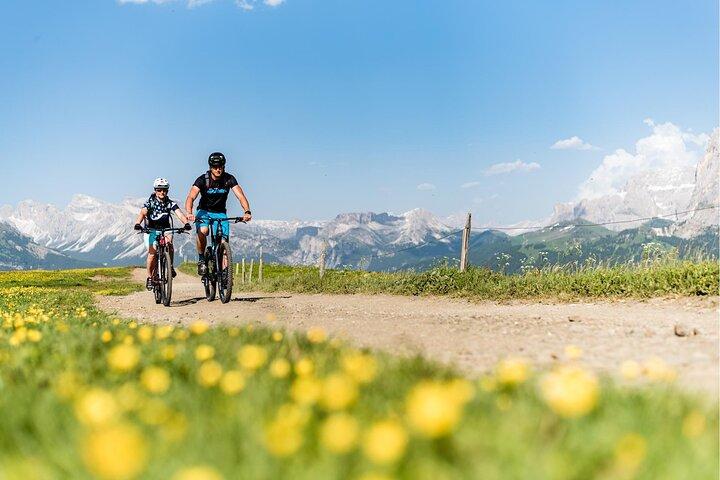 Bolzano Dolomites: one day private E-bike tour