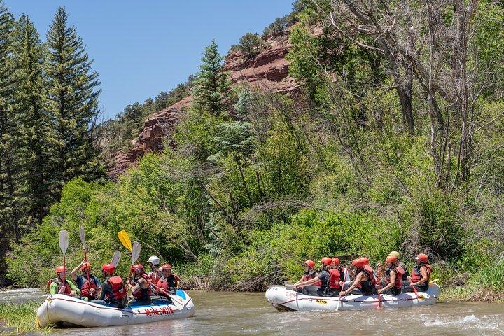 Telluride Afternoon Half-Day Rafting Tour on the San Miguel River