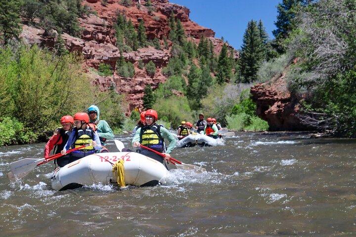 Telluride Morning Half-Day Rafting Tour on the San Miguel River