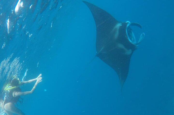 From Nusa Lembongan Manta Snorkeling Trips with Pickup Included