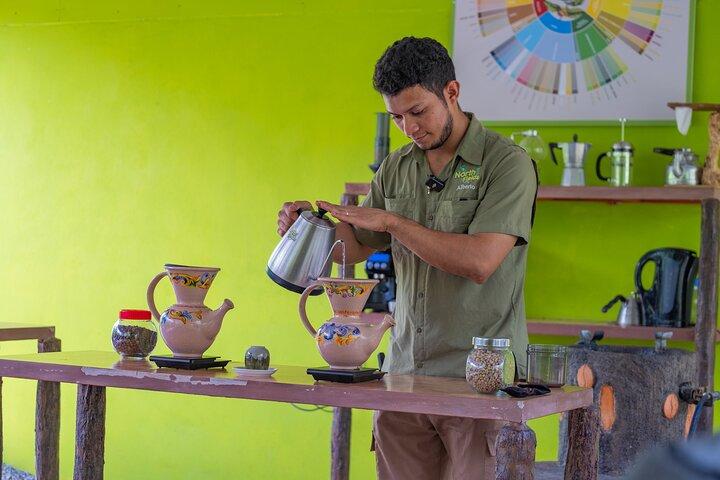 Craft Specialty Coffee and Chocolate Tour at North Fields, La Fortuna Costa Rica