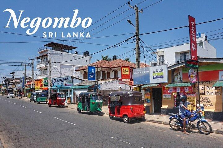 Private City Tour in Negombo
